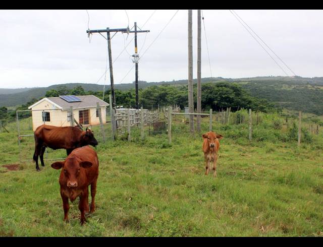 168HA FARM FOR SALE IN EAST LONDON RURAL